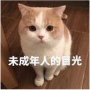 蛋黃