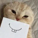 7000