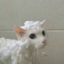 金