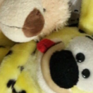 llllllllll