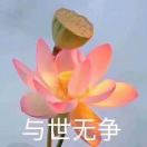 折折