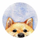 香菜