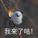 一語