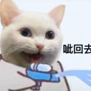 小小