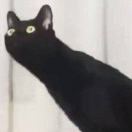 92628172