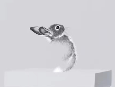 徐婉