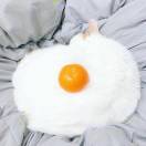 一漏鱼
