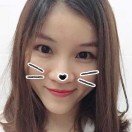 兔子猪