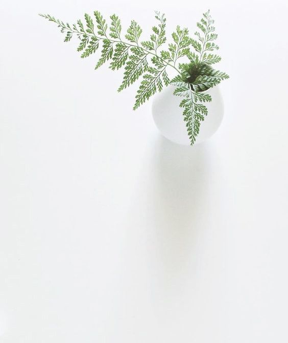 筱糖豆?ε?